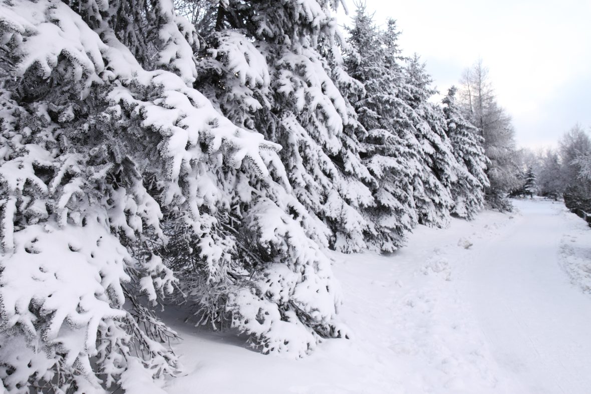 Disfruta de una Navidad diferente en La Cerdanya Cerdanya 1180x787 - Disfruta de una Navidad diferente en La Cerdanya