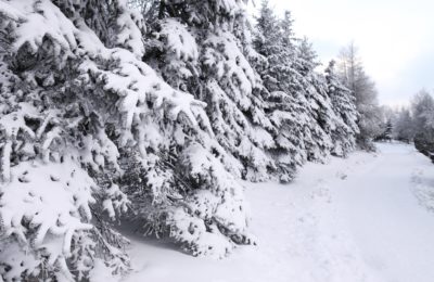 Cerdanya 400x260 - Disfruta de una Navidad diferente en La Cerdanya