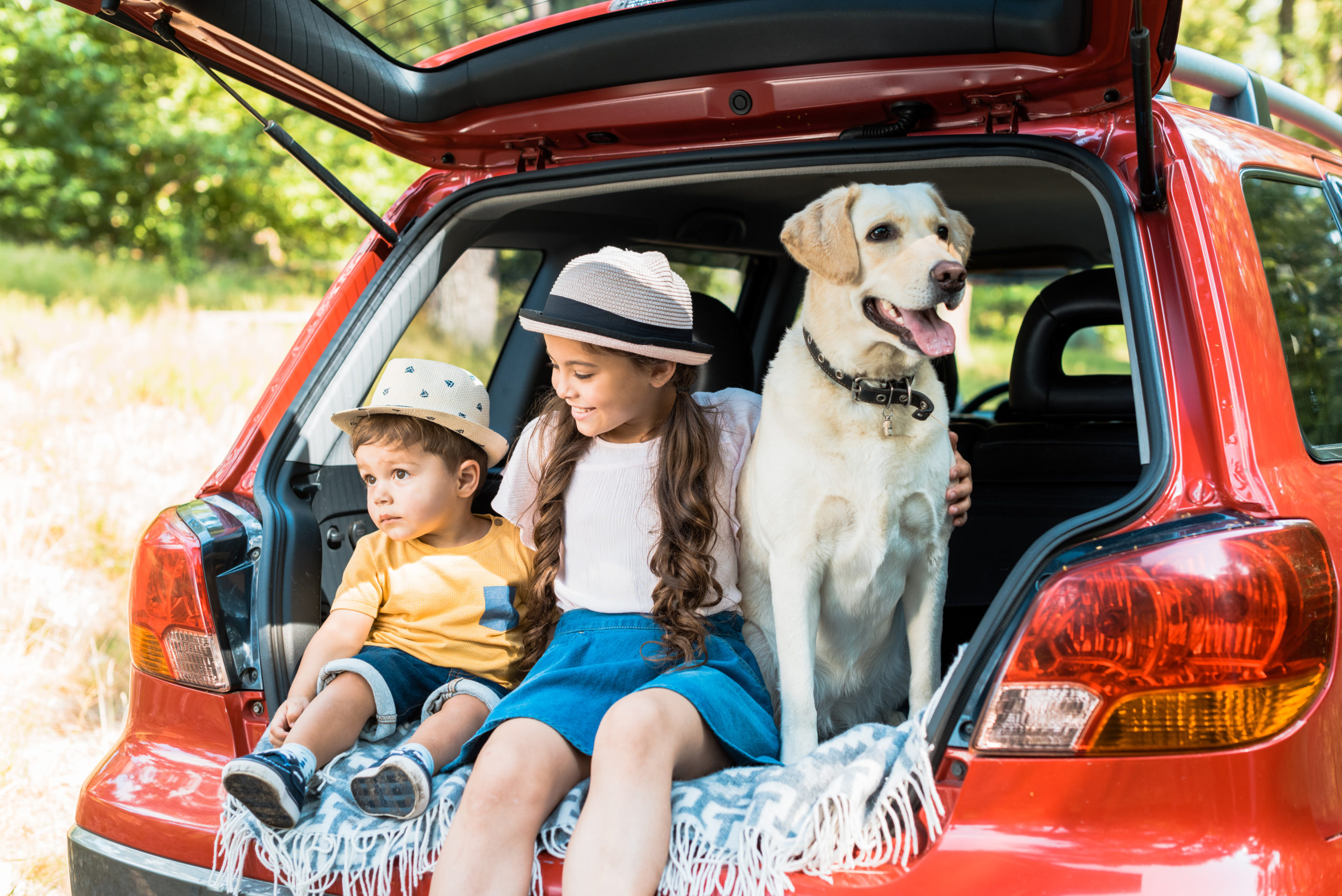 Viajar en coche con niños