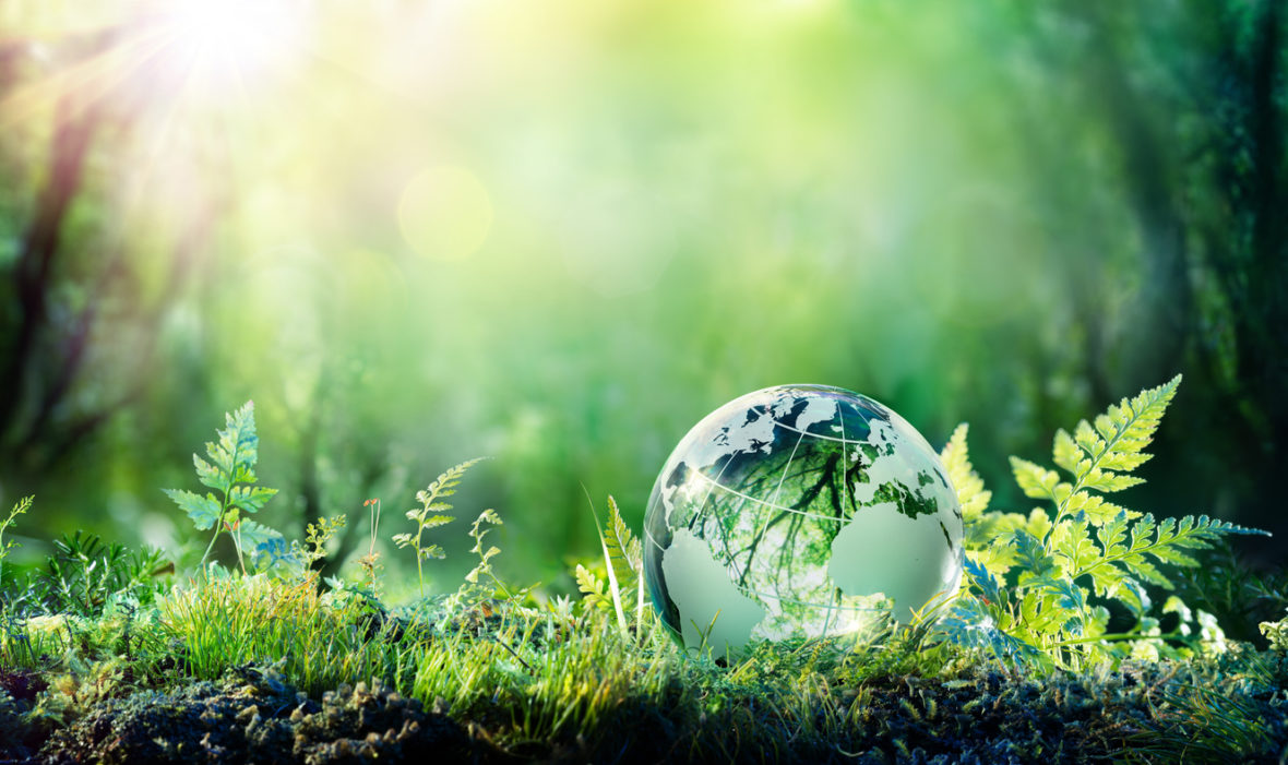 cambio climatico y movilidad sostenible