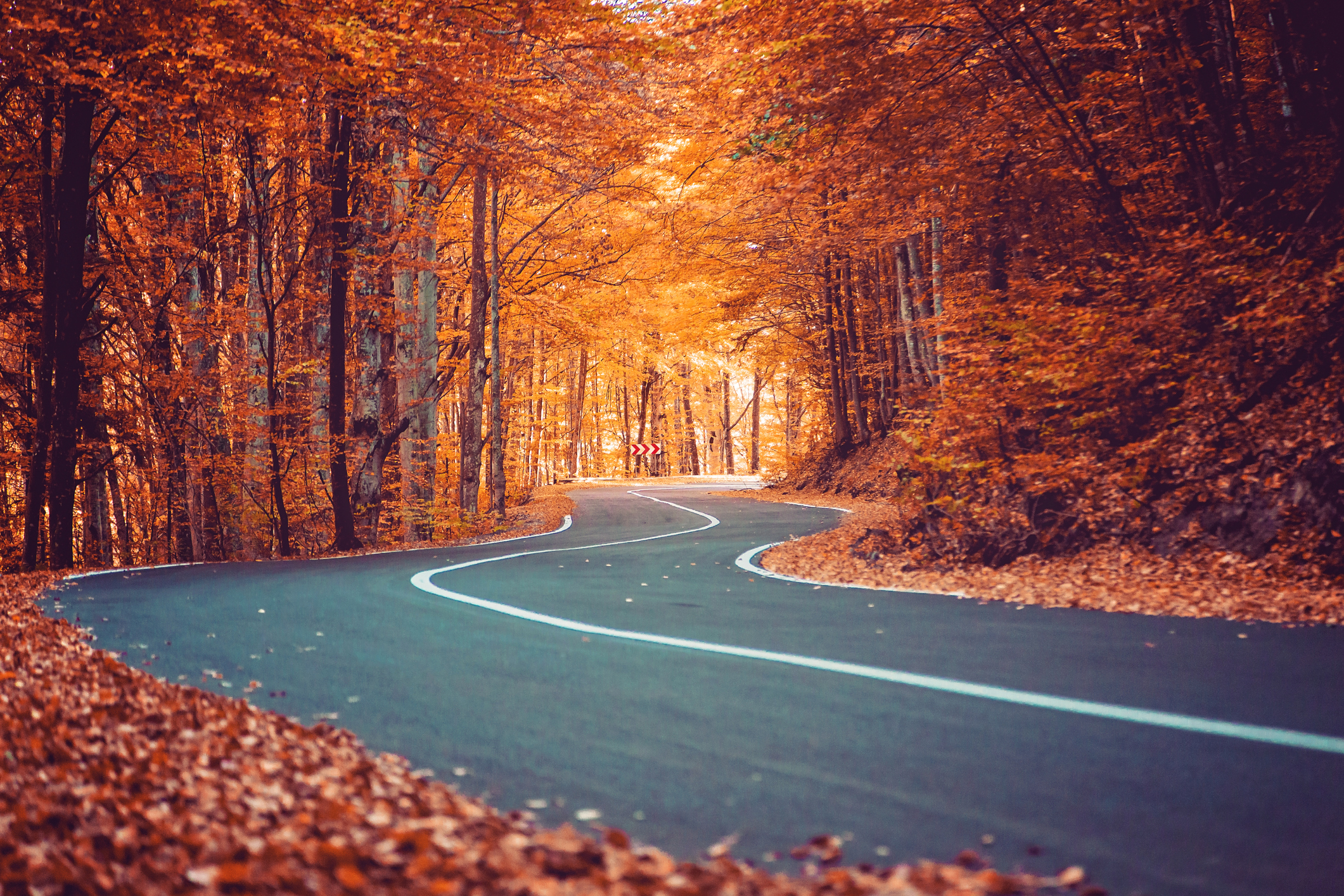 rutas en coche otoño