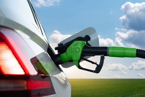 IMAGEN INTERIOR  - Ecocombustibles: ¿la alternativa definitiva al petróleo?