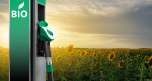 ecocombustibles