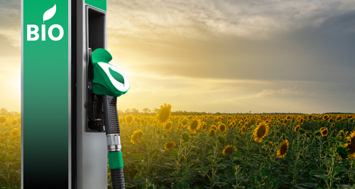 ecocombustibles
