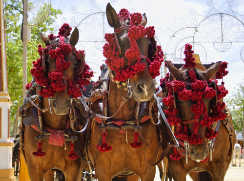 fiestas septiembre 1 - Las mejores fiestas de septiembre en España