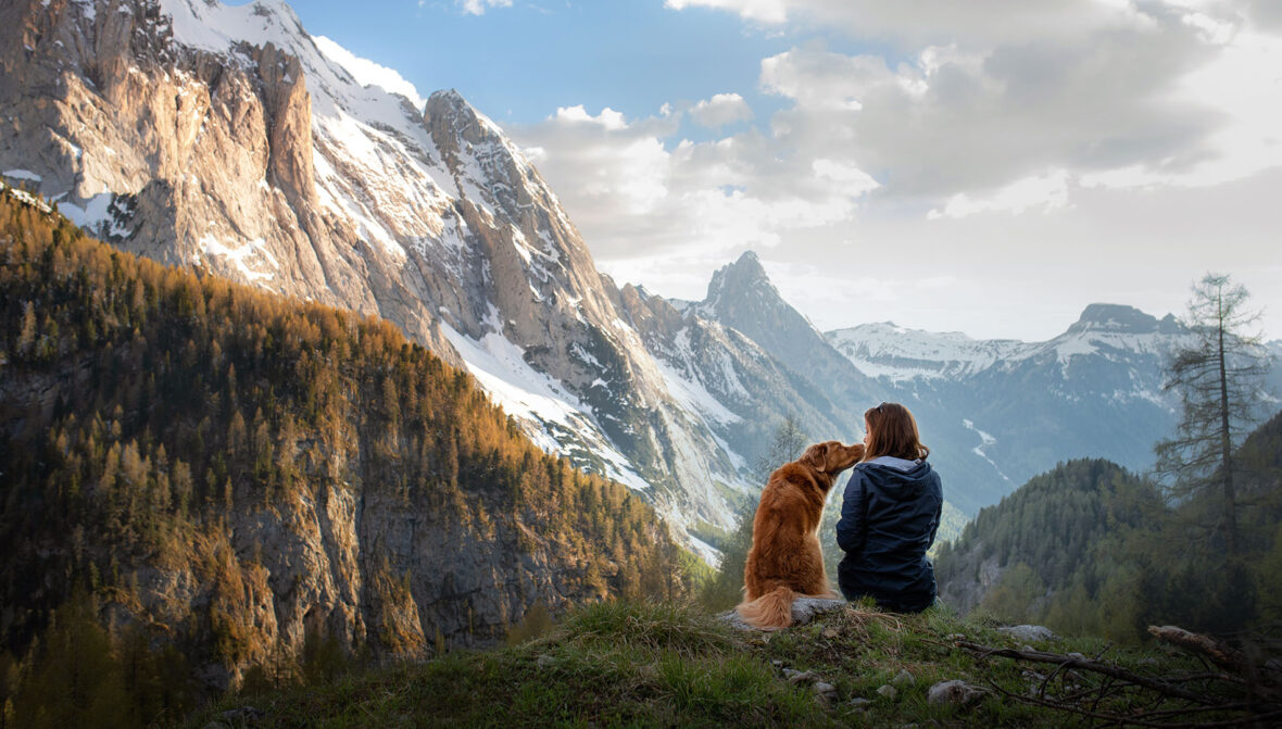 PORTADA 4 1180x671 - Vacaciones con mascotas: 5 destinos pet-friendly para disfrutar
