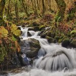 Parques naturales de España