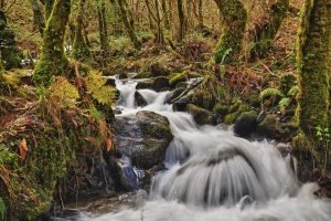 Parques naturales de España