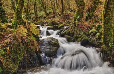 Parques naturales de España