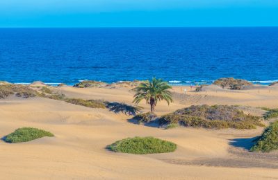 donde viajar en enero en España